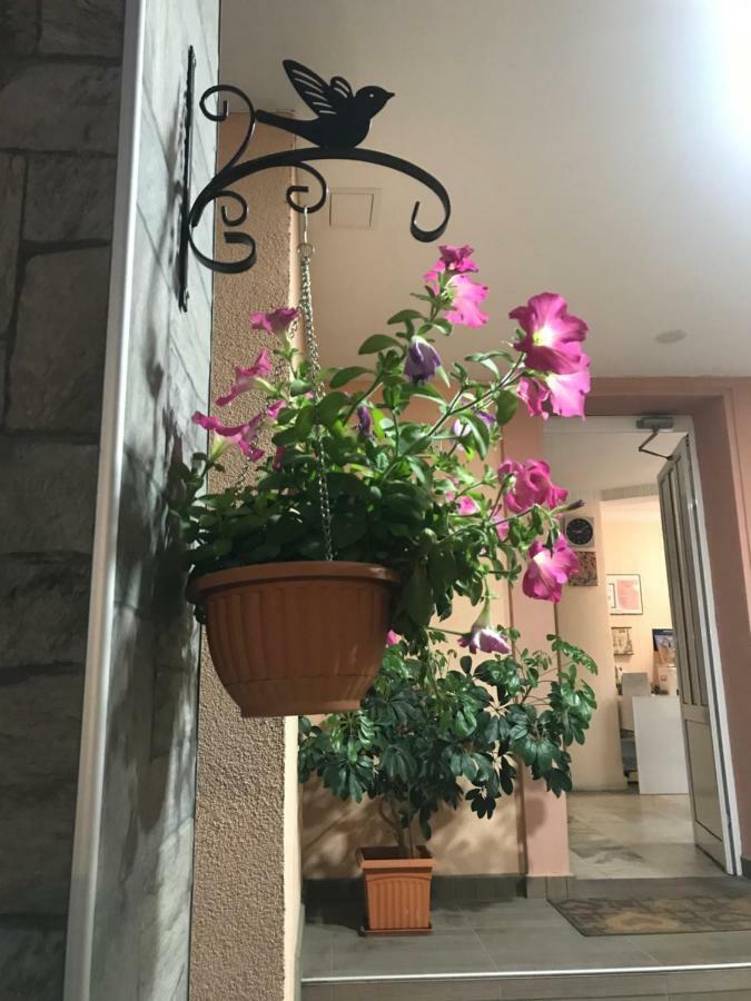 White Rose Guest Rooms Burgas Exterior photo